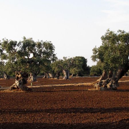 Savelletri L'Ulivo Bed And Breakfast מראה חיצוני תמונה