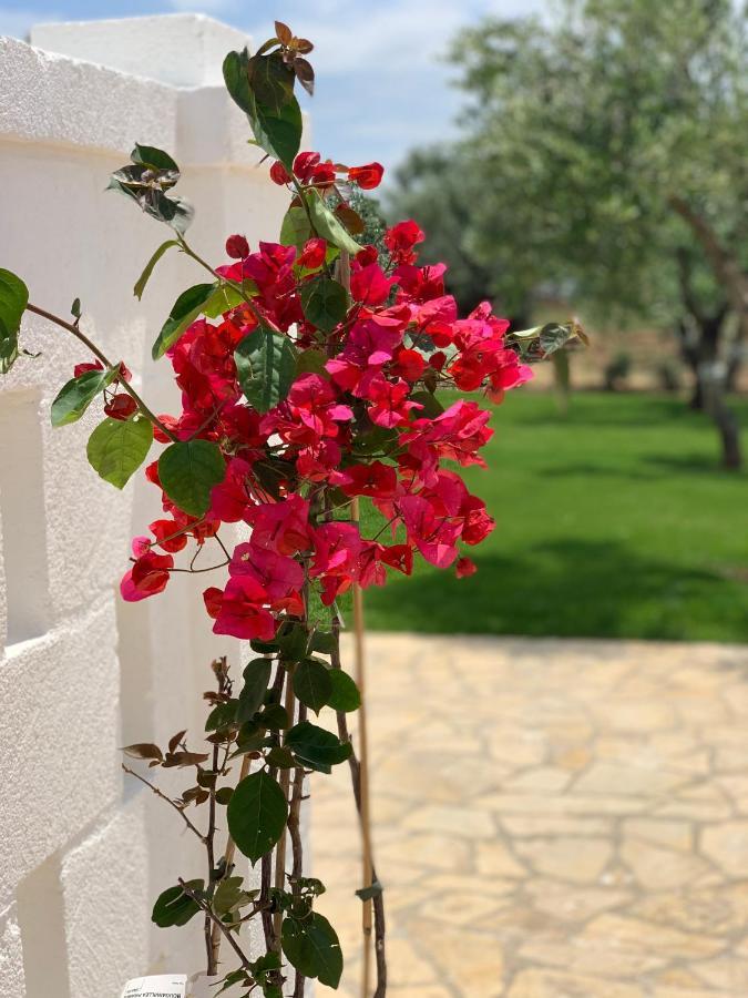 Savelletri L'Ulivo Bed And Breakfast מראה חיצוני תמונה