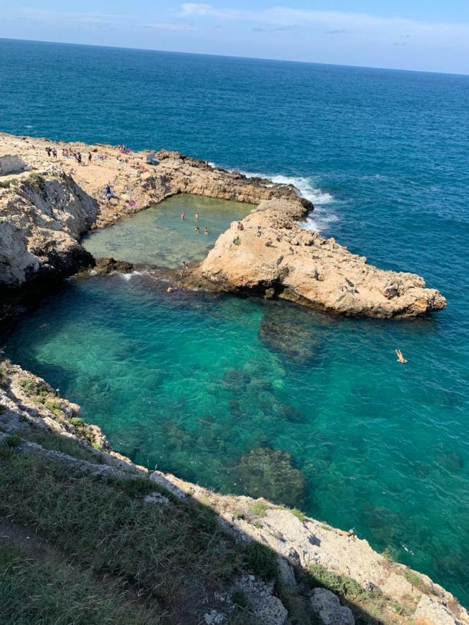 Savelletri L'Ulivo Bed And Breakfast מראה חיצוני תמונה
