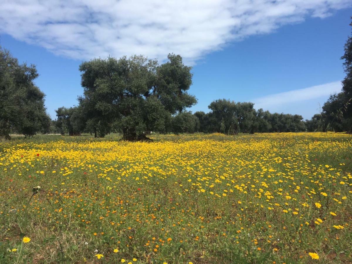 Savelletri L'Ulivo Bed And Breakfast מראה חיצוני תמונה